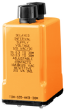 TDH, delayed interval relay output, single shot timer, on-delay interval timer